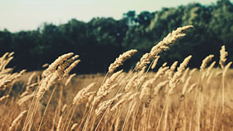 ddos攻击ip软件下载